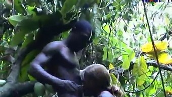 Interracial Passion In African X Sauvage 4