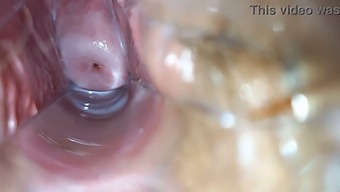 Intense Orgasmic Pleasure In A Wet Pussy
