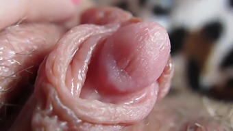 Intense Close-Up Of My Throbbing Clitoris Head